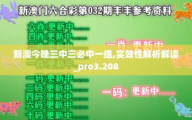 新澳今晚三中三必中一组,实效性解析解读_pro3.208