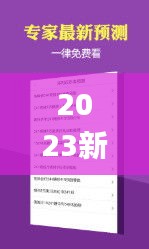 2023新澳门天天开好彩,快速解答计划设计_Phablet12.244