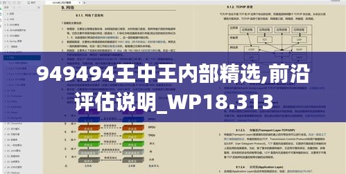 949494王中王内部精选,前沿评估说明_WP18.313