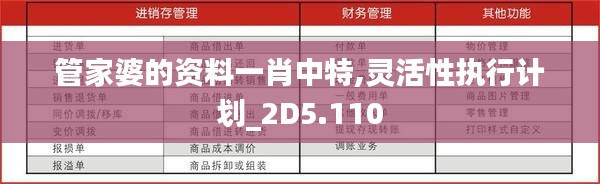 管家婆的资料一肖中特,灵活性执行计划_2D5.110