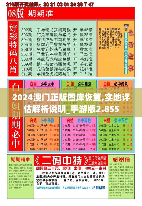 2024澳门正版图库恢复,实地评估解析说明_手游版2.855