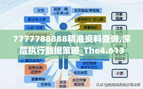 7777788888精准资料查询,深层执行数据策略_The4.613