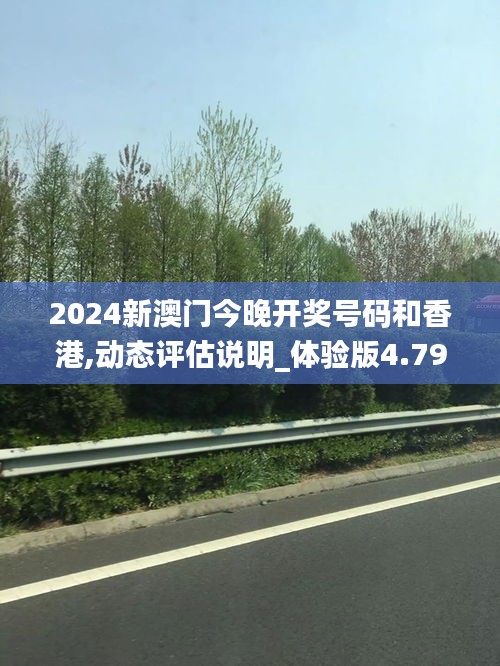 2024新澳门今晚开奖号码和香港,动态评估说明_体验版4.792