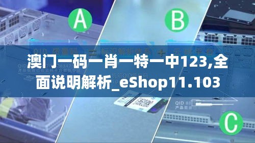 澳门一码一肖一特一中123,全面说明解析_eShop11.103