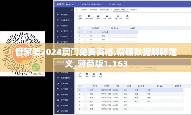 管家婆2024澳门免费资格,精确数据解释定义_薄荷版1.163