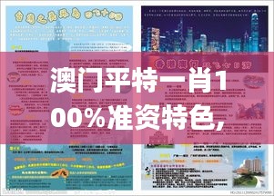 澳门平特一肖100%准资特色,实地数据验证实施_7DM7.676