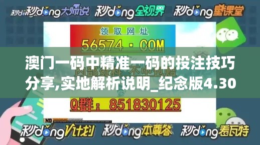 澳门一码中精准一码的投注技巧分享,实地解析说明_纪念版4.300