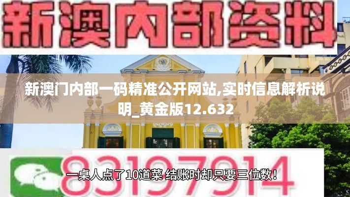 新澳门内部一码精准公开网站,实时信息解析说明_黄金版12.632