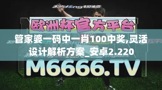 管家婆一码中一肖100中奖,灵活设计解析方案_安卓2.220