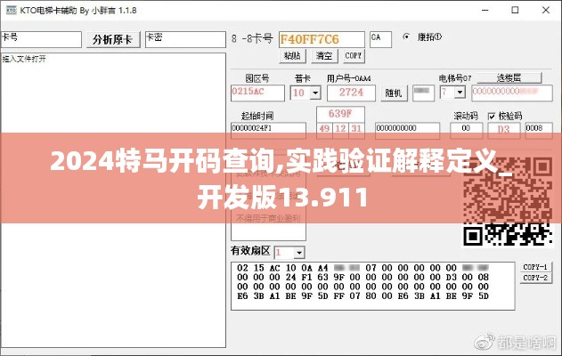 2024特马开码查询,实践验证解释定义_开发版13.911
