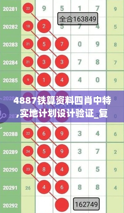 4887铁算资料四肖中特,实地计划设计验证_复刻款4.721