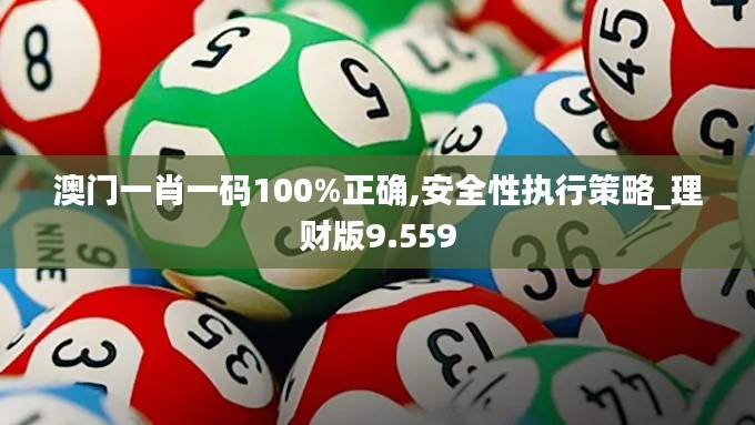 澳门一肖一码100%正确,安全性执行策略_理财版9.559