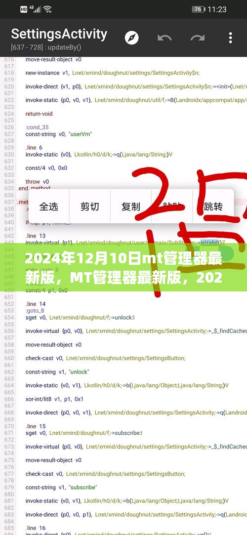 MT管理器最新版回顾与展望，2024年12月10日的功能更新与未来展望