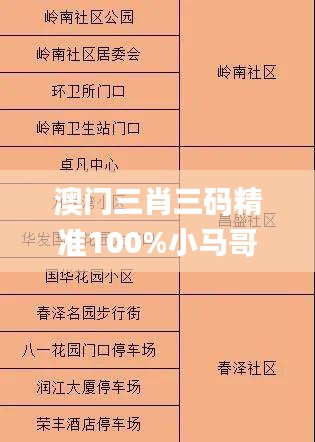 澳门三肖三码精准100%小马哥,定量分析解释定义_Gold1.946