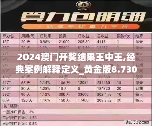 2O24澳门开奖结果王中王,经典案例解释定义_黄金版8.730