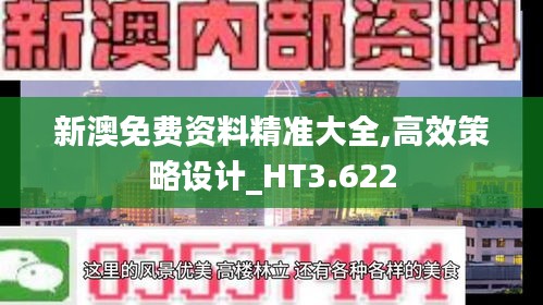 新澳免费资料精准大全,高效策略设计_HT3.622