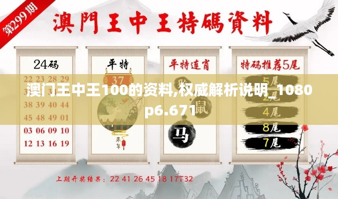 澳门王中王100的资料,权威解析说明_1080p6.671