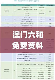 澳门六和免费资料查询,状况评估解析说明_X版2.616