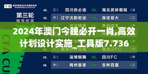 2024年澳门今晚必开一肖,高效计划设计实施_工具版7.736