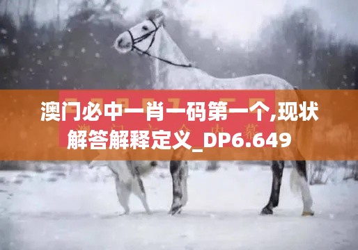 澳门必中一肖一码第一个,现状解答解释定义_DP6.649