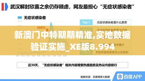 新澳门中特期期精准,实地数据验证实施_XE版8.994