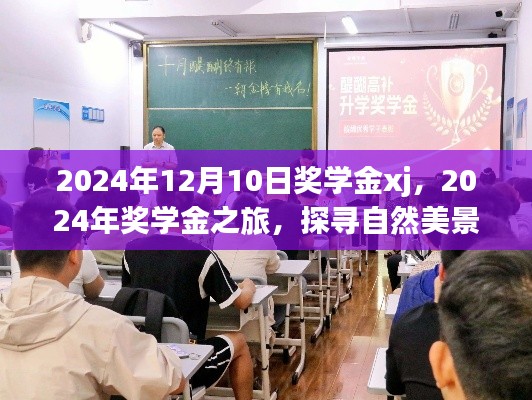 探寻自然美景，寻找内心宁静的奖学金之旅——2024年奖学金xj纪实