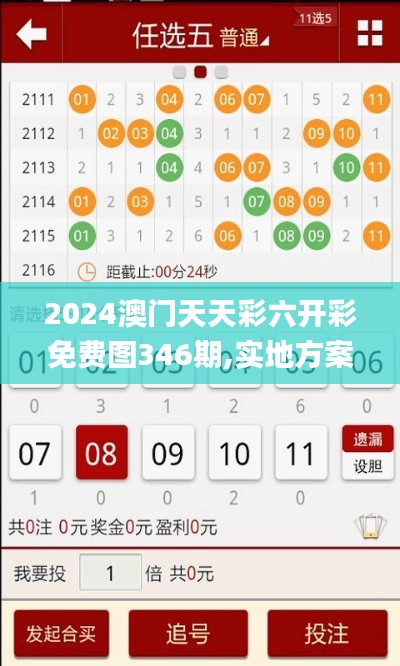 2024澳门天天彩六开彩免费图346期,实地方案验证_Pixel4.477