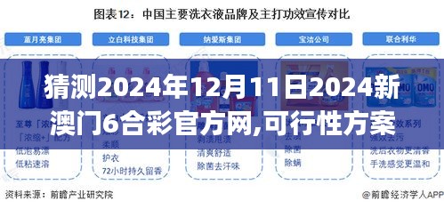 猜测2024年12月11日2024新澳门6合彩官方网,可行性方案评估_手游版8.257