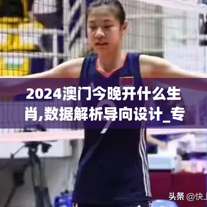 2024澳门今晚开什么生肖,数据解析导向设计_专家版6.125