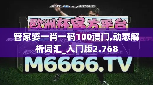 管家婆一肖一码100澳门,动态解析词汇_入门版2.768