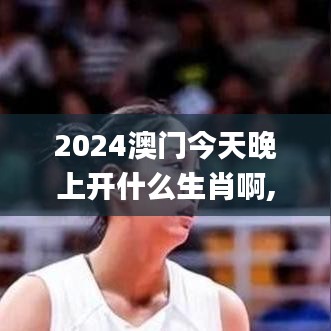 2024澳门今天晚上开什么生肖啊,合理决策执行审查_体验版1.105