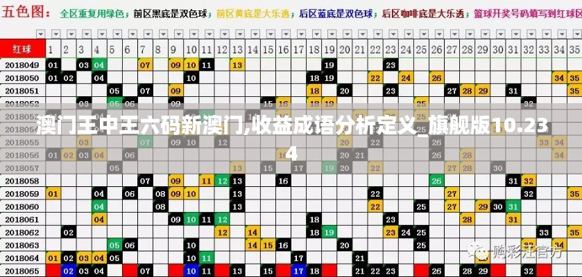 澳门王中王六码新澳门,收益成语分析定义_旗舰版10.234