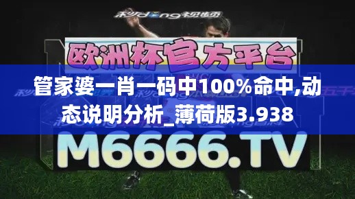 管家婆一肖一码中100%命中,动态说明分析_薄荷版3.938