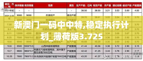 新澳门一码中中特,稳定执行计划_薄荷版3.725