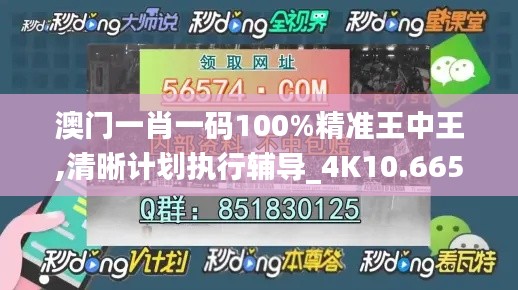 澳门一肖一码100%精准王中王,清晰计划执行辅导_4K10.665