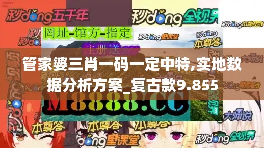 管家婆三肖一码一定中特,实地数据分析方案_复古款9.855