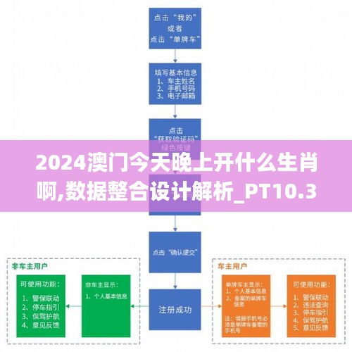 2024澳门今天晚上开什么生肖啊,数据整合设计解析_PT10.356