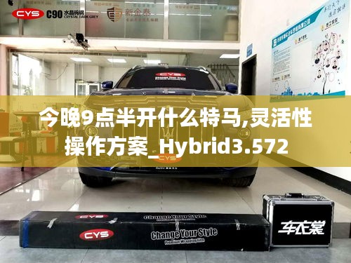 今晚9点半开什么特马,灵活性操作方案_Hybrid3.572