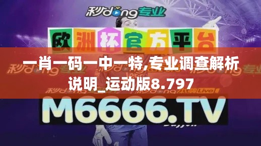 一肖一码一中一特,专业调查解析说明_运动版8.797