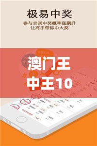 澳门王中王100%期期中一期,灵活设计解析方案_精装版8.182