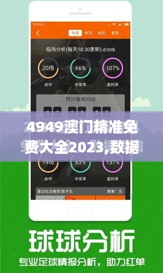 4949澳门精准免费大全2023,数据解答解释定义_6DM9.252