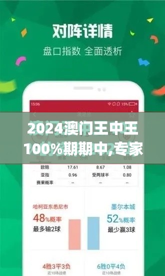 2024澳门王中王100%期期中,专家解析说明_KP4.240