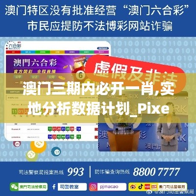 澳门三期内必开一肖,实地分析数据计划_Pixel18.411