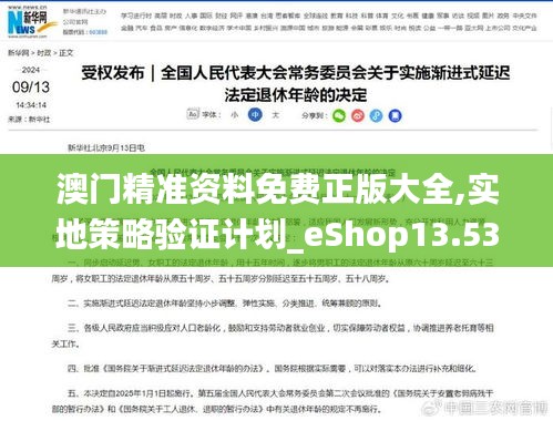 澳门精准资料免费正版大全,实地策略验证计划_eShop13.537