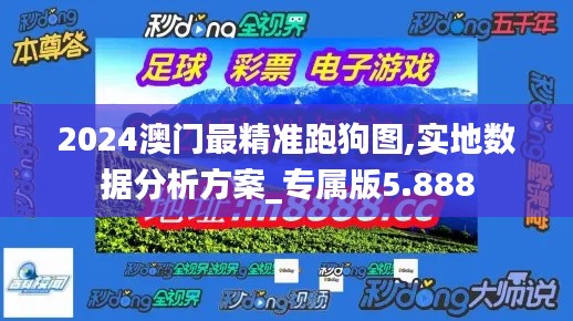 2024澳门最精准跑狗图,实地数据分析方案_专属版5.888