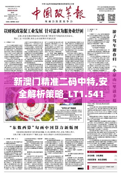 新澳门精准二码中特,安全解析策略_LT1.541