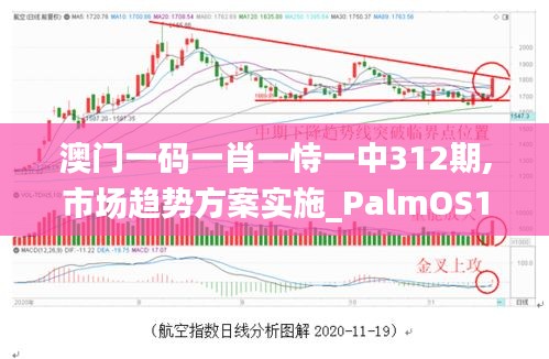 澳门一码一肖一恃一中312期,市场趋势方案实施_PalmOS10.107