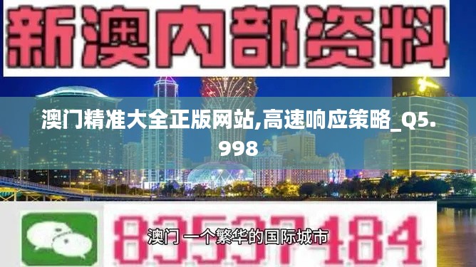 澳门精准大全正版网站,高速响应策略_Q5.998