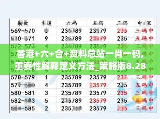 香港+六+合+资料总站一肖一码,重要性解释定义方法_策略版8.286