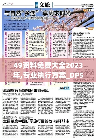 49资料免费大全2023年,专业执行方案_DP5.937